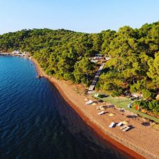 Ayvalık Ücretsiz Kamp Alanları