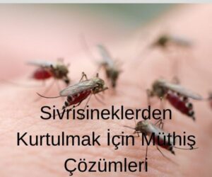 Sivrisineklerden Kurtulmak Icin Muthis Cozumler