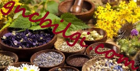 Hangi Hastaliga Hangi Bitki Tedavisi İyi Gelir Kullanılmalı