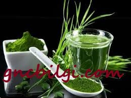 Spirulina Zayıflama Hapı Nasıl Kullanılır Kullanıcı Yorumları
