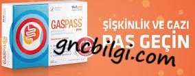 Gaspass Plus Ne Ise Yarar Kullananlar Yorumlari