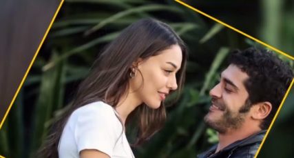 Dilan Çiçek Deniz Rol Aldigi Diziler