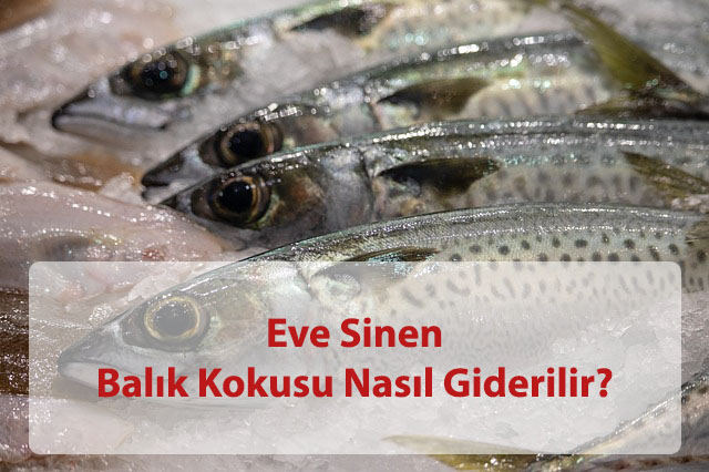 Eve Sinen Balik Kokusu Nasil Giderilir