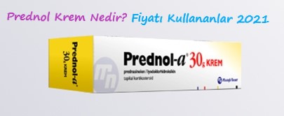 Prednol Krem Nedir Fiyati Kullananlar 2021