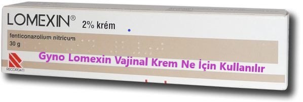 Gyno Lomexin Vajinal Krem Ne Icin Kullanilir