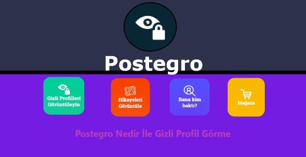 Postegro Nedir İle Gizli Profil Görme