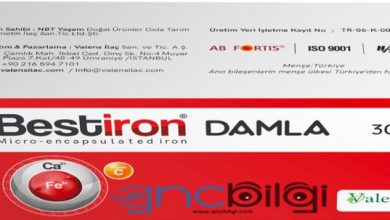 Bestiron Damla Nedir Ozellikleri ve Bestiron Fiyati 2021