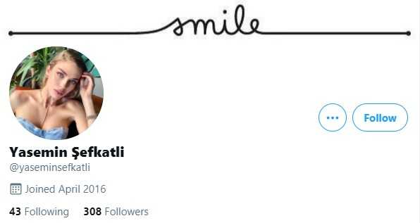 yasemin sefkatli twitter hesabi