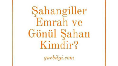 Sahangiller Emrah ve Gonul Sahan Kimdir