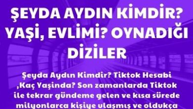 Seyda Aydin Kimdir Yasi Evlimi Oynadigi Diziler