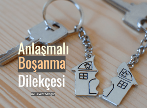 Anlasmali Bosanma Protokolu
