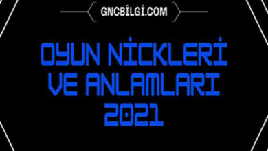 Oyun Nickleri ve Anlamlari 2021 Sekilli ve Turkce