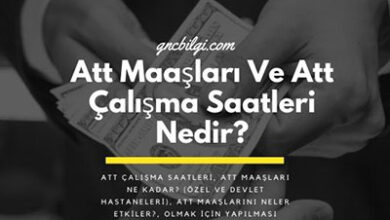 Att Maaslari Ve Att Calisma Saatleri Nedir