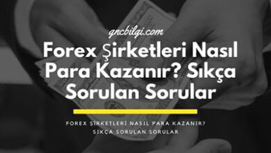 Forex Sirketleri Nasil Para Kazanir