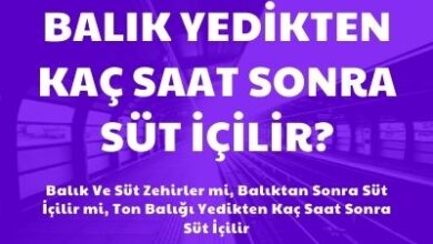 Balik Yedikten Kac Saat Sonra Sut Icilir Balik ve Sut Zehirler Mi