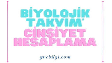 Biyolojik Takvim Cinsiyet Hesaplama