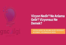 Vizyon Nedir Ne Anlama Gelir Vizyonsuz Ne Demek Vizyonsuzluk Nedir