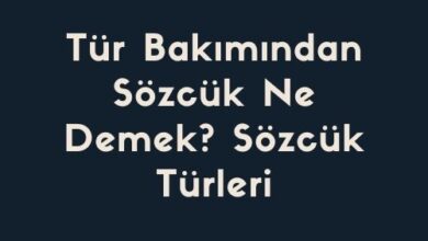 Tur Bakimindan Sozcuk Ne Demek Sozcuk Turleri