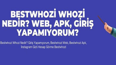 Bestwhozi Whozi Nedir Web Apk Giris Yapamiyorum