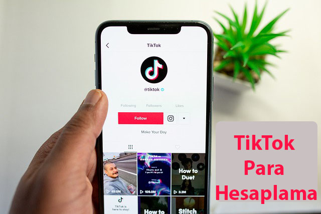 TikTok Para Hesaplama
