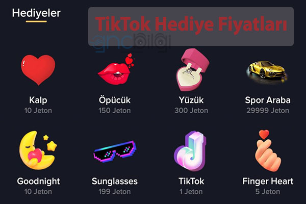 Tiktok pahali hediye ne kadar