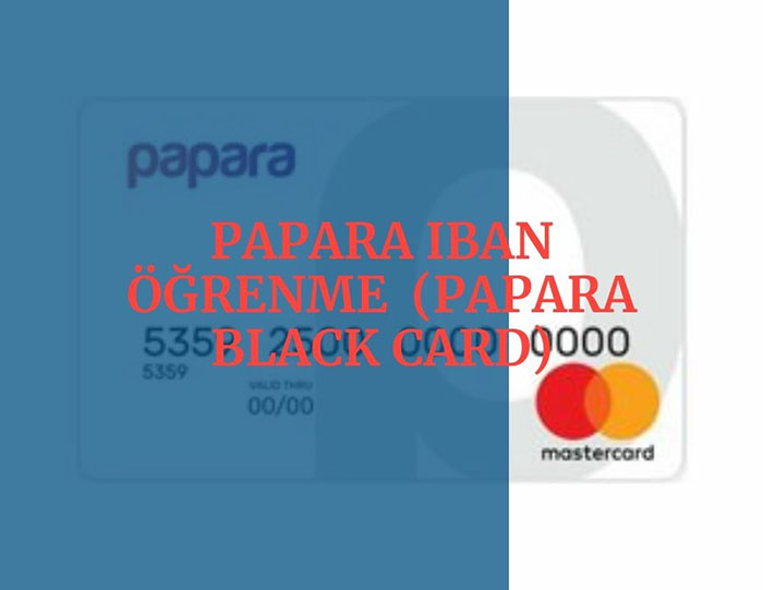 Papara IBAN Ogrenme