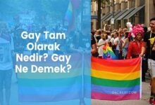 Gay Tam Olarak Nedir Gay Ne Demek