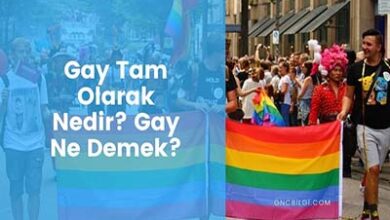 Gay Tam Olarak Nedir Gay Ne Demek