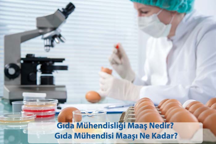Gida Muhendisligi Maas Nedir
