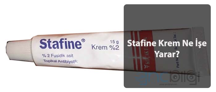 Stafine Krem Nedir