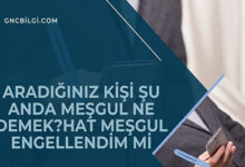 Aradiginiz Kisi Su Anda Mesgul Ne Demek Hat Mesgul Engellendim Mi