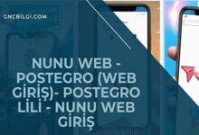 Nunu Web Postegro Web Giris Postegro LiLi Nunu Web Giris