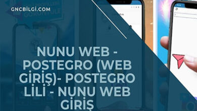 Nunu Web Postegro Web Giris Postegro LiLi Nunu Web Giris