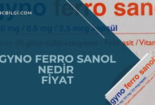 Gyno Ferro Sanol Fiyat