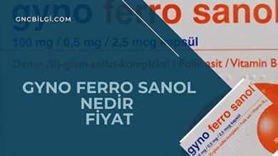 Gyno Ferro Sanol Fiyat