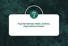 Pust Ne Demek Nedir Anlami Pust Kelime Anlami