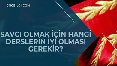 Savci Olmak Icin Hangi Derslerin Iyi Olmasi Gerekir