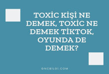 Toxic Kisi Ne Demek Toxic Ne Demek Tiktok Oyunda De Demek