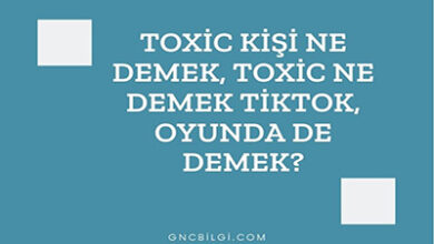 Toxic Kisi Ne Demek Toxic Ne Demek Tiktok Oyunda De Demek