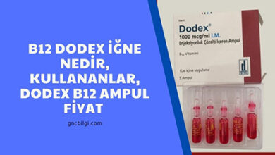 B12 Dodex Igne Nedir Kullananlar