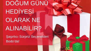 Dogum Gunu Hediyesi Olarak Ne Alinabilir