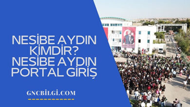 Nesibe Aydin Kimdir Nesibe Aydin Portal Giris