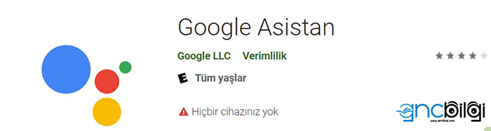 Ok Google Google Asistan