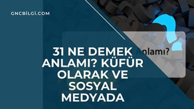 31 Ne Demek Anlami