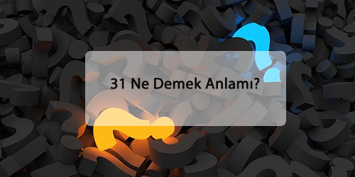 31 Ne Demek