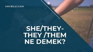 SheThey They Them Ne Demek