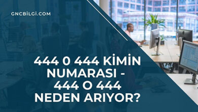 444 0 444 Kimin Numarasi 444 o 444 Neden Ariyor