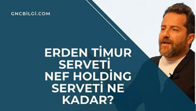 Erden Timur Serveti