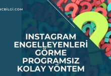 Instagram Engelleyenleri Gorme Programsiz