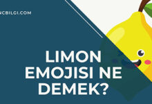 Limon Emojisi Ne Demek